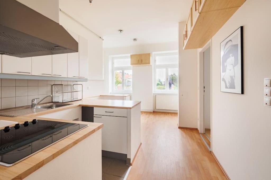 Beautiful 1 Bedroom Apartment Near Schoenbrunn 维也纳 外观 照片